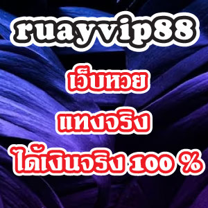 ruayvip886slot